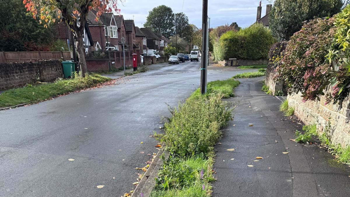 Update on the Rain Gardens